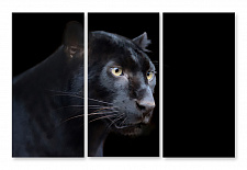 Модульная картина 1376 "Черная пантера"