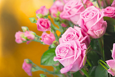 Постер 1197 "Букет розовых роз"