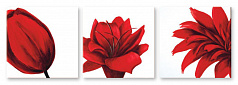 Модульная картина 1450 "Красные цветы"