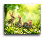 Постер 275 "Кролики"