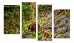 Модульная картина 3276 "Медведи"
