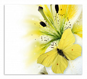 Постер 3683 "Бабочка на лилии"
