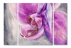 Модульная картина 1283 "Орхидея вблизи"
