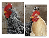 Модульная картина 3150 "Курицы"