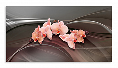 Постер 4863 "Нежно-розовые орхидеи"