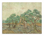 Репродукция 482 "Винсент ван Гог. Оливковый сад"
