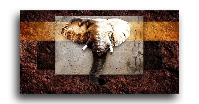 Постер 5202 "Слон" фото 1