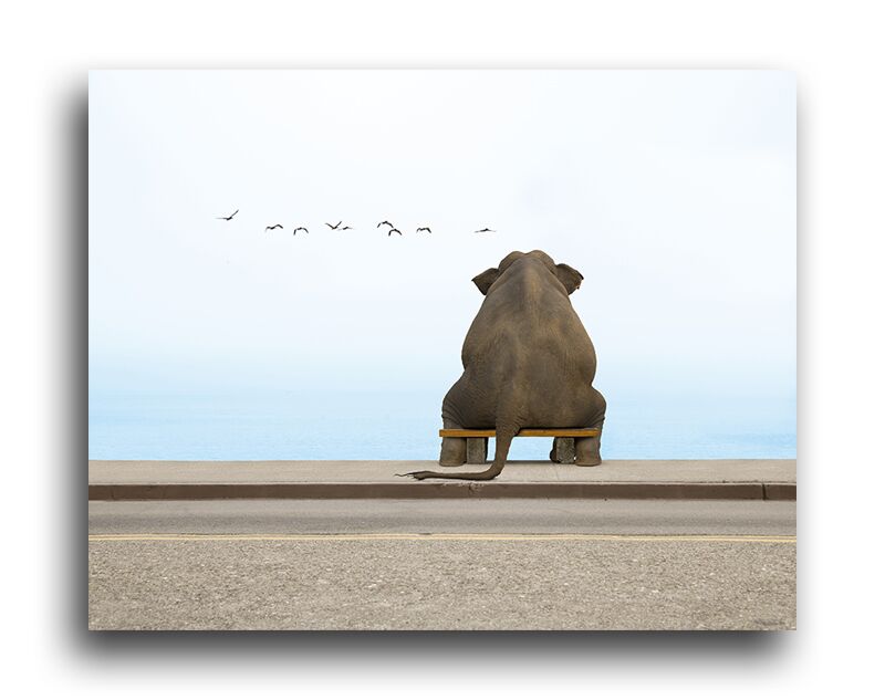 Постер 2976 "Одинокий слон" фото 1