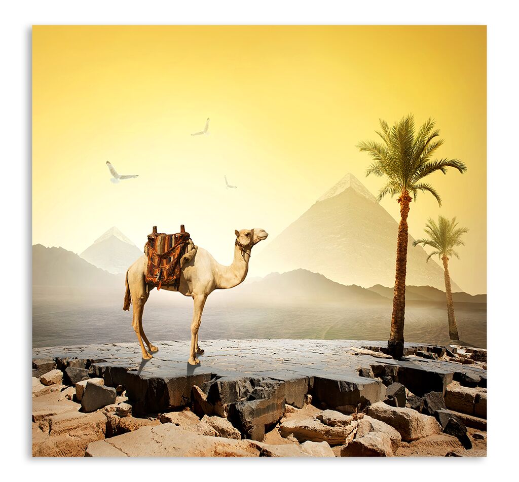 Постер 90 "Верблюд" фото 1