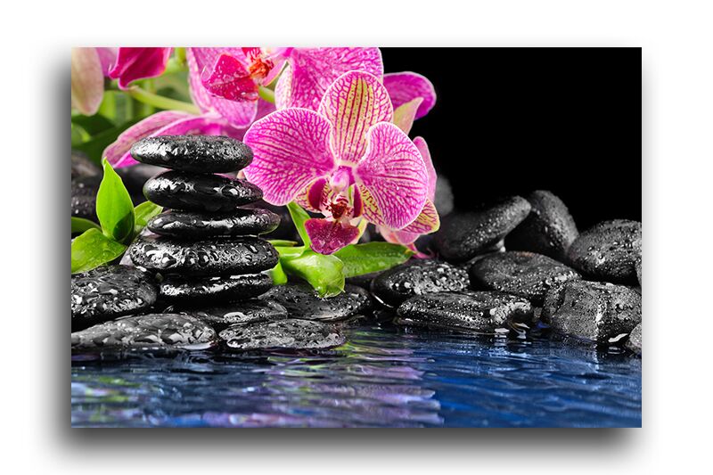 Постер 38 "Камни и орхидея" фото 1