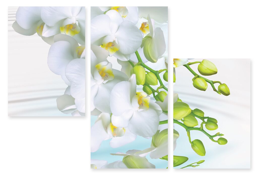 Модульная картина 104 "Белые орхидеи" фото 1
