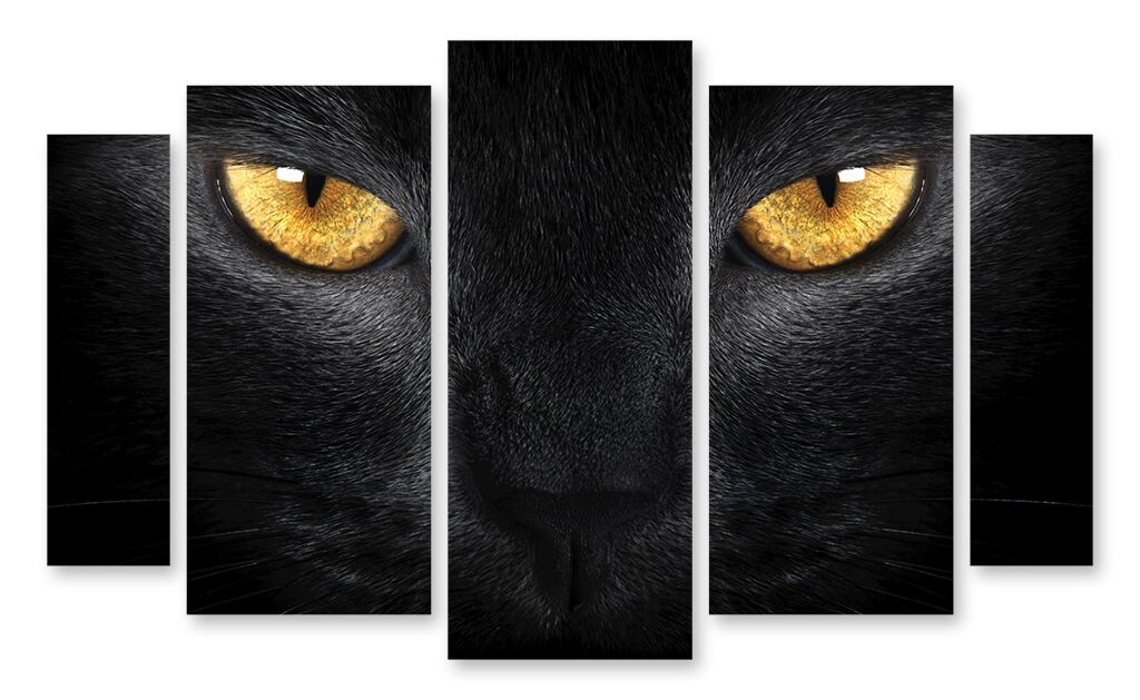 Модульная картина 1489 "Черный кот" фото 1