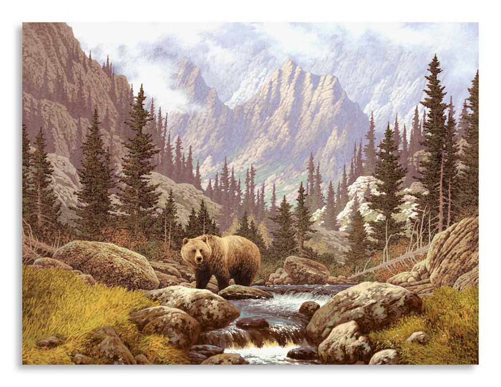 Постер 2726 "Медведь" фото 1