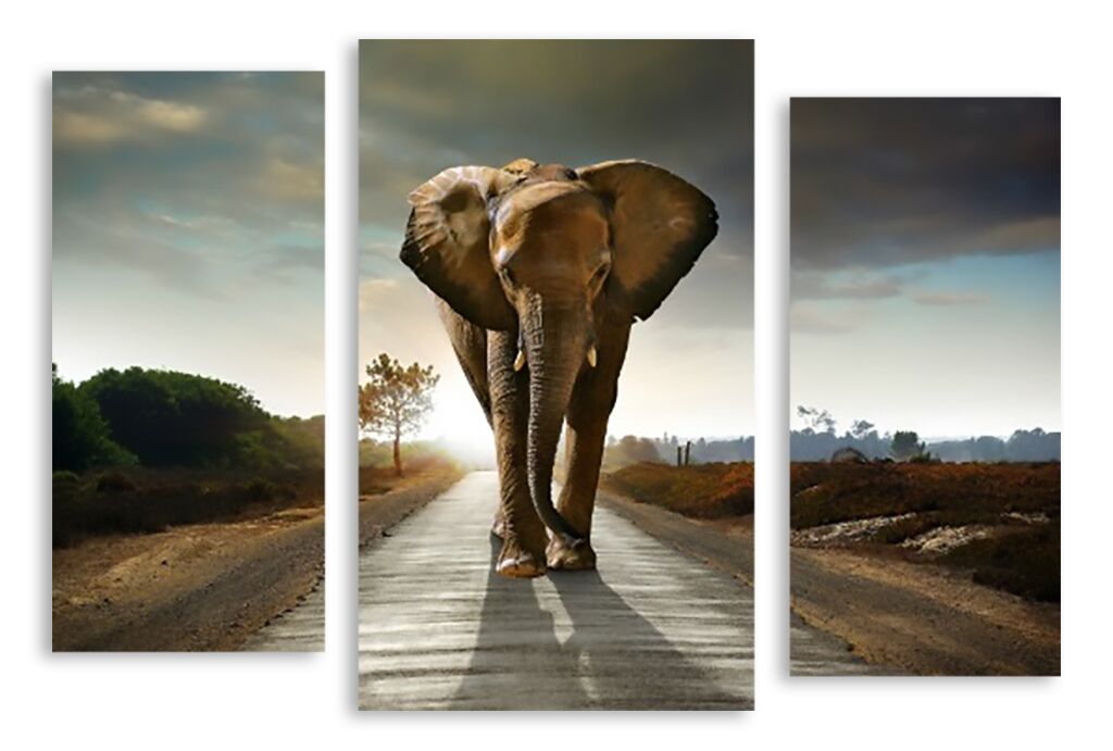 Модульная картина 2506 "Слон на дороге" фото 1