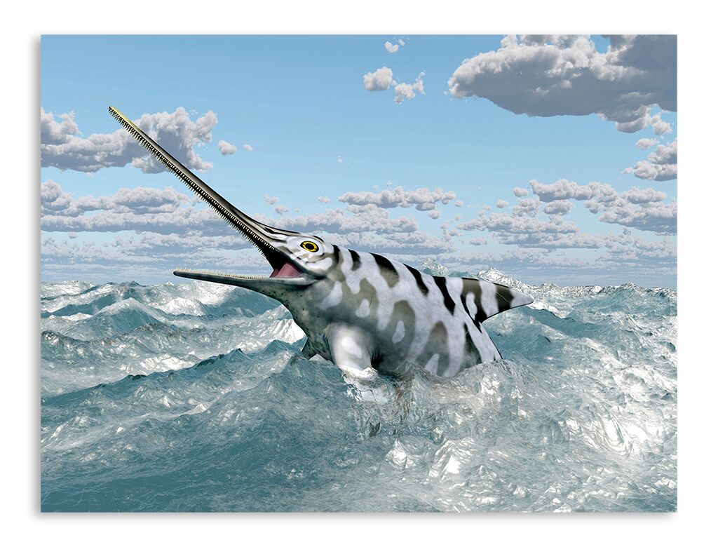 Постер 2390 "Рыба-меч" фото 1