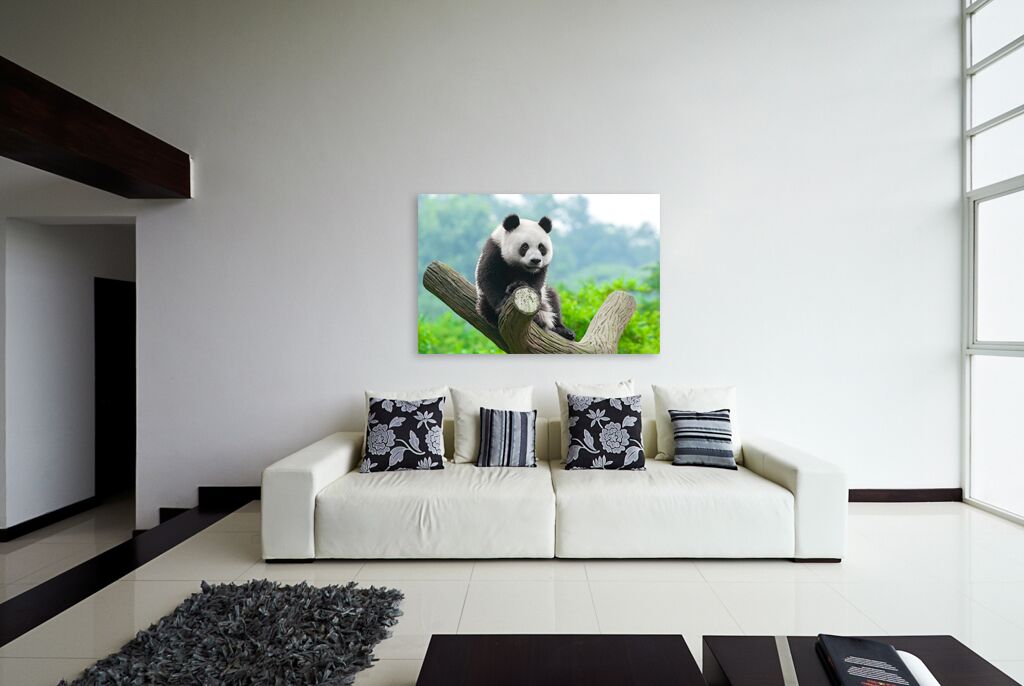Постер 2159 "Панда на дереве" фото 4