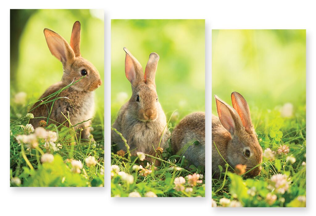 Модульная картина 275 "Кролики" фото 1