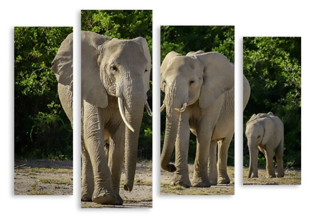 Модульная картина 3130 "Слоны" фото 1