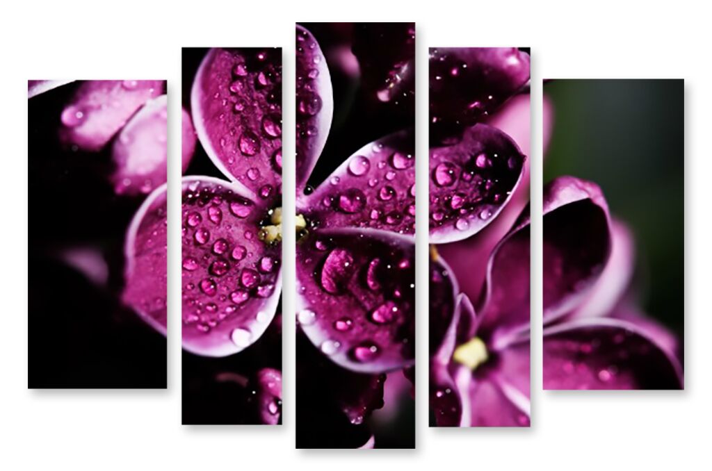 Модульная картина 1318 "Фиолетовая страсть" фото 1
