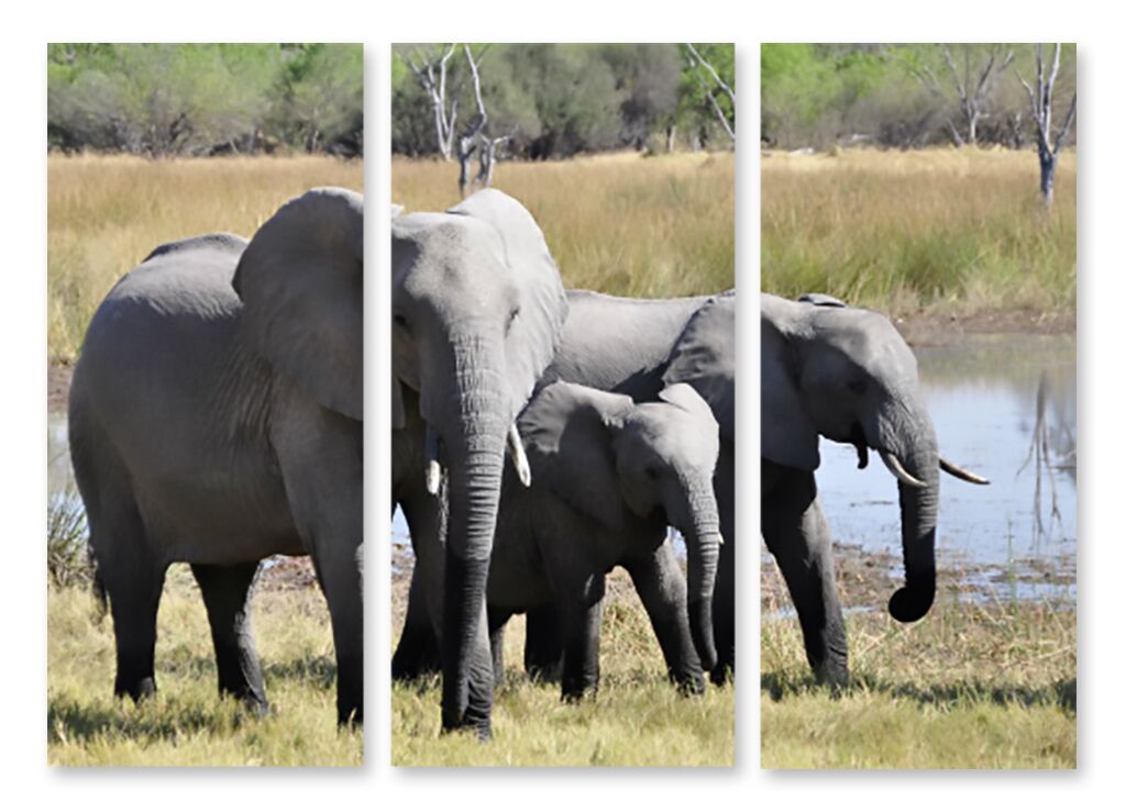 Модульная картина 1405 "Семейство слонов" фото 1