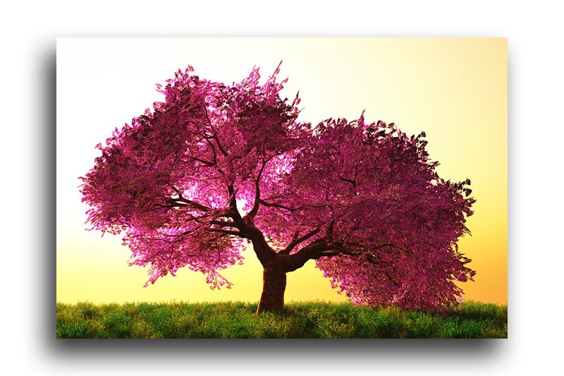 Постер 428 "Цветущее дерево" фото 1