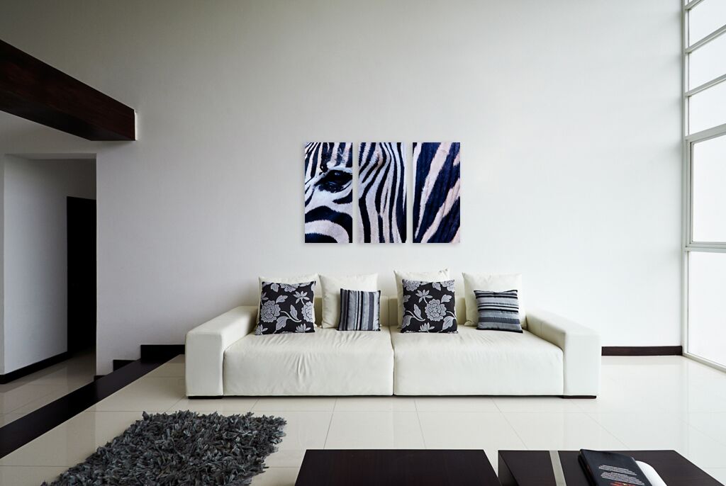 Модульная картина 1357 "Окрас зебры" фото 4