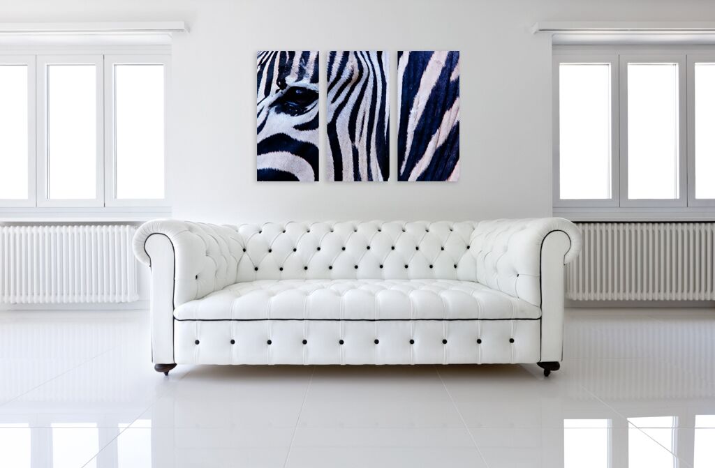 Модульная картина 1357 "Окрас зебры" фото 3