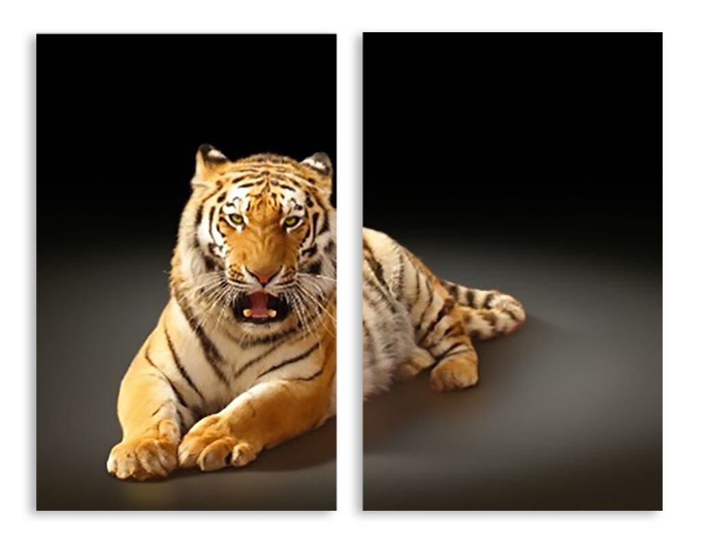 Модульная картина 2660 "Тигр" фото 1