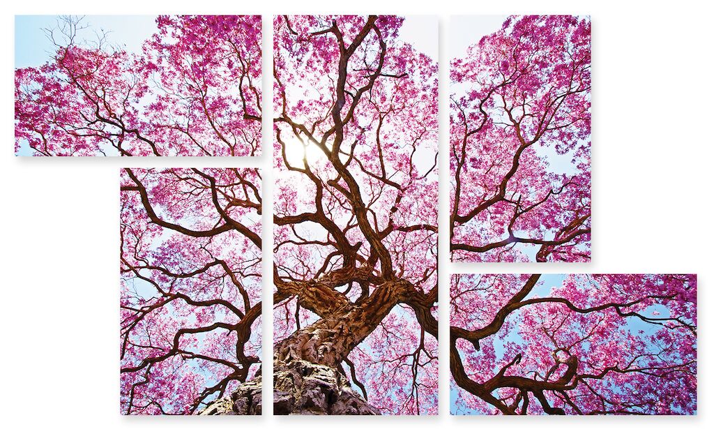 Модульная картина 162 "Розовое дерево" фото 1