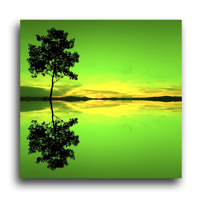 Постер 1747 "Зеленое отражение" фото 1