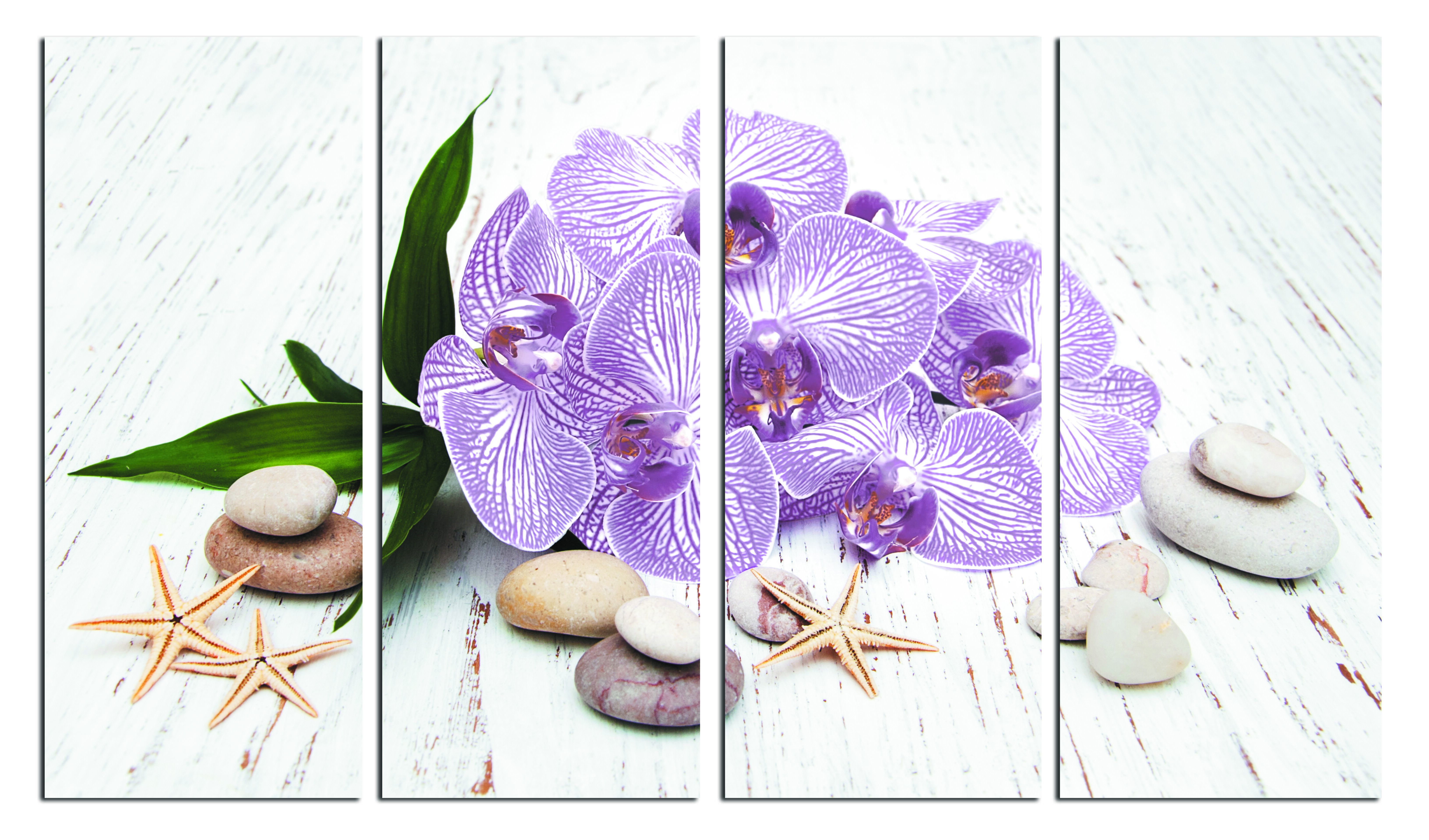 Модульная картина 5566 "Нежная орхидея" фото 1