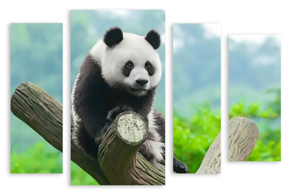 Модульная картина 2159 "Панда на дереве" фото 1