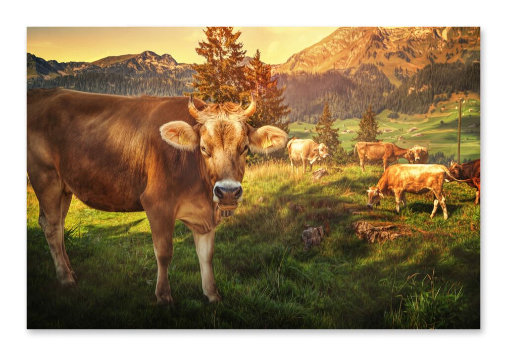 Постер 337 "Коровы на лугу" фото 1