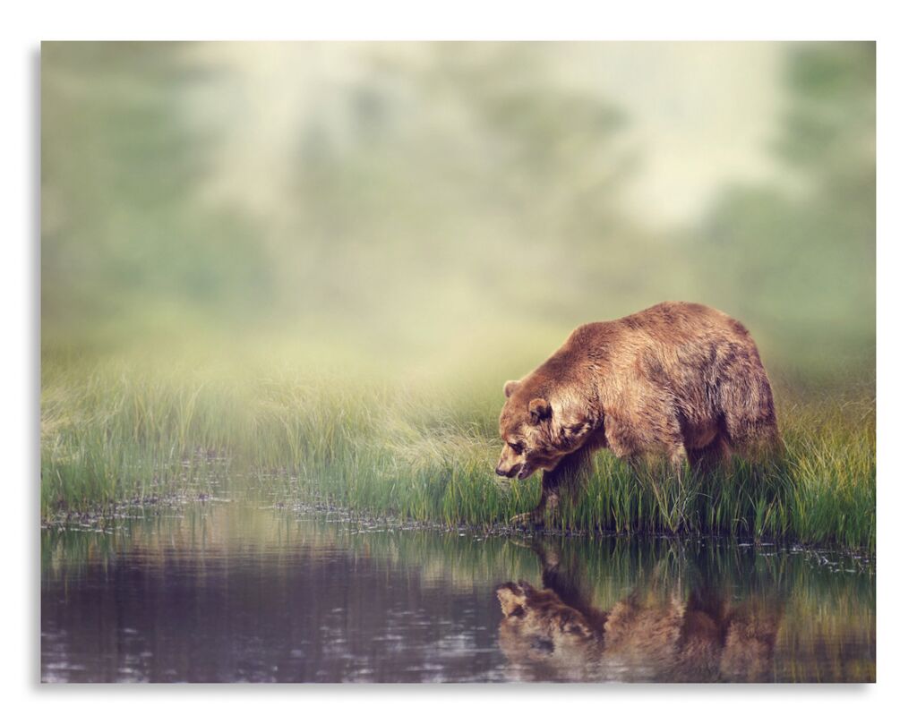 Постер 2624 "Медведь" фото 1