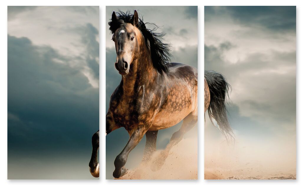 Модульная картина 47 "Лошадь" фото 1