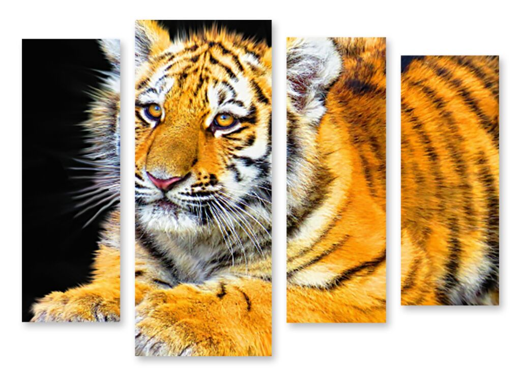 Модульная картина 1383 "Маленький тигрёнок" фото 1
