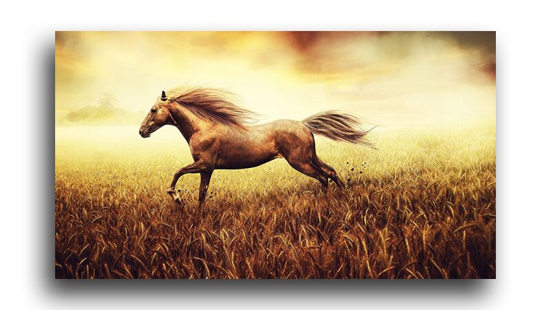 Постер 53 "Бегущая лошадь" фото 1