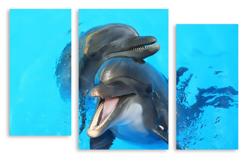 Модульная картина 2339 "Дельфины" фото 1