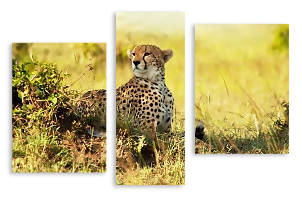 Модульная картина 2469 "Хитрый леопард" фото 1