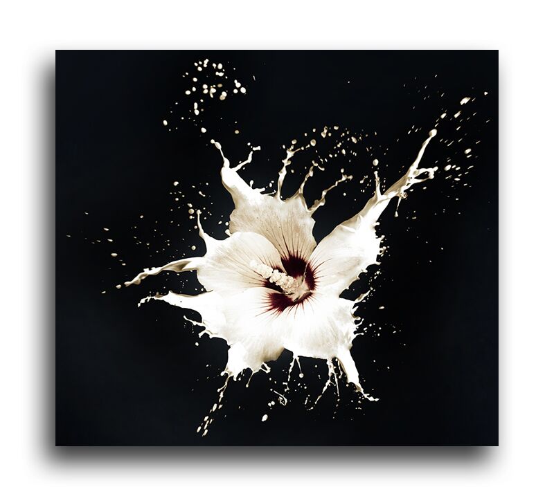 Постер 168 "Белый цветок" фото 1