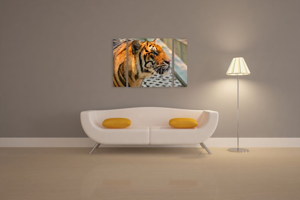 Модульная картина 1388 "Любопытный тигр" фото 4