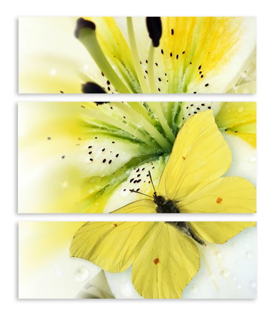 Модульная картина 3683 "Бабочка на лилии" фото 1