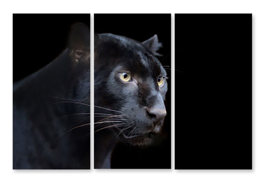 Модульная картина 1376 "Черная пантера" фото 1