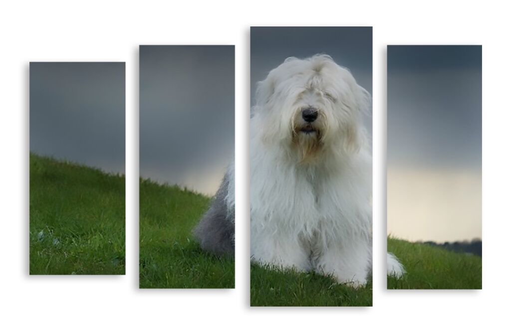 Модульная картина 3255 "Белый пес" фото 1