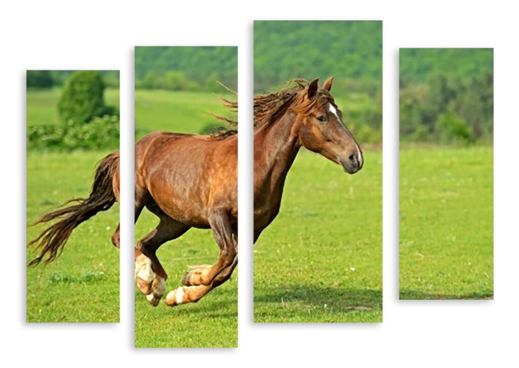 Модульная картина 3455 "Резвый конь" фото 1