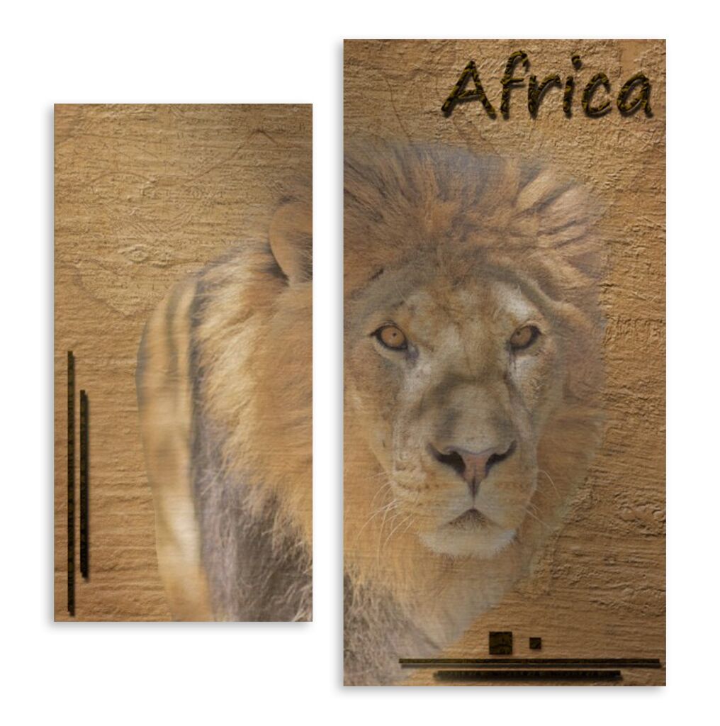 Модульная картина 5066 "Африканский лев" фото 1