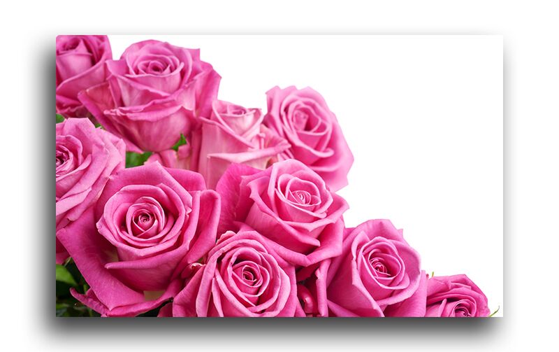 Постер 249 "Розовые розы" фото 1
