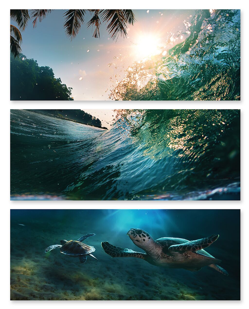 Модульная картина 215 "Морская черепаха" фото 1
