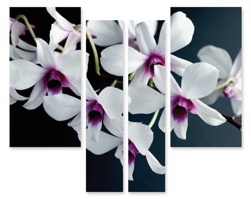 Модульная картина 177 "Орхидея" фото 1