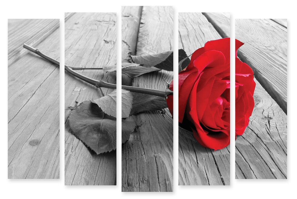 Модульная картина 36 "Живая роза" фото 1